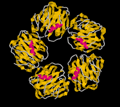 Proteina C-reattiva