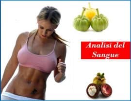 Garcinia Cambogia