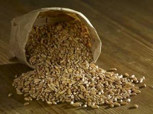 farro glutine