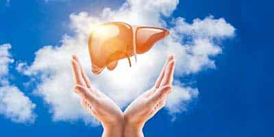 Fegato Ingrossato Sintomi E Cure Analisidelsanguenet