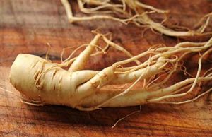 mononucleosi ginseng