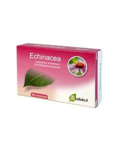 echinacea compresse