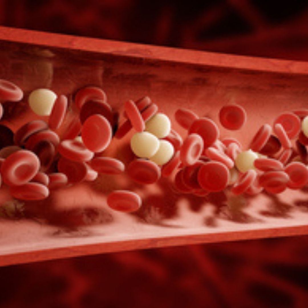 Piastrine sangue